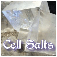 schussler cell salts