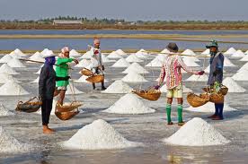 salt, sea salt production