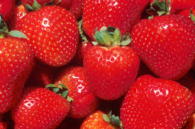 strawberry, strawberries, fragaria